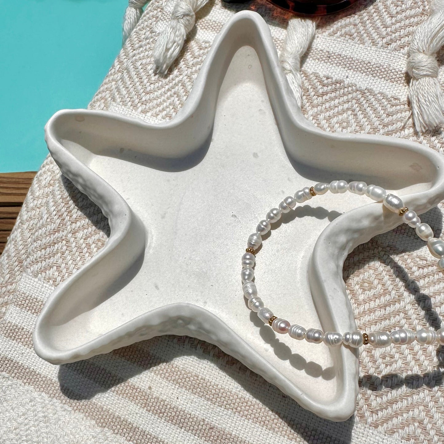 Coupelle étoile de mer